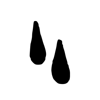 logo main